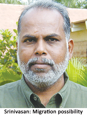 M Srinivasan