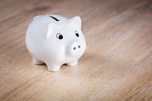 coin banks shaped like pigs