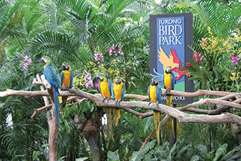 Jurong Bird Park