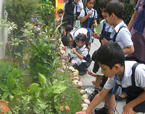 Paul George Global School, Delhi