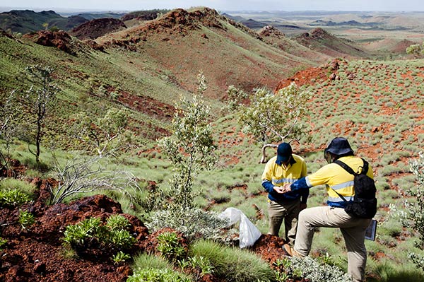 Geologists