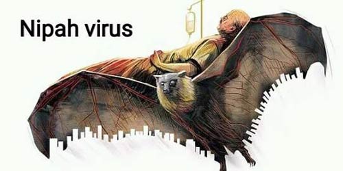 Nipah virus