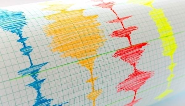 Seismologists