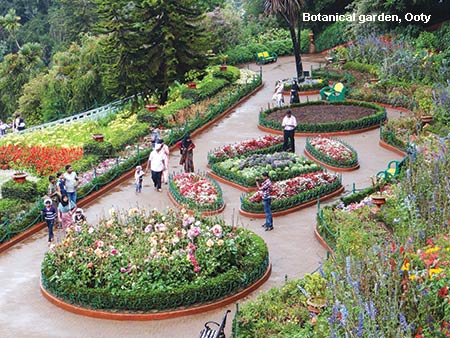 Botanical Garden, OOty