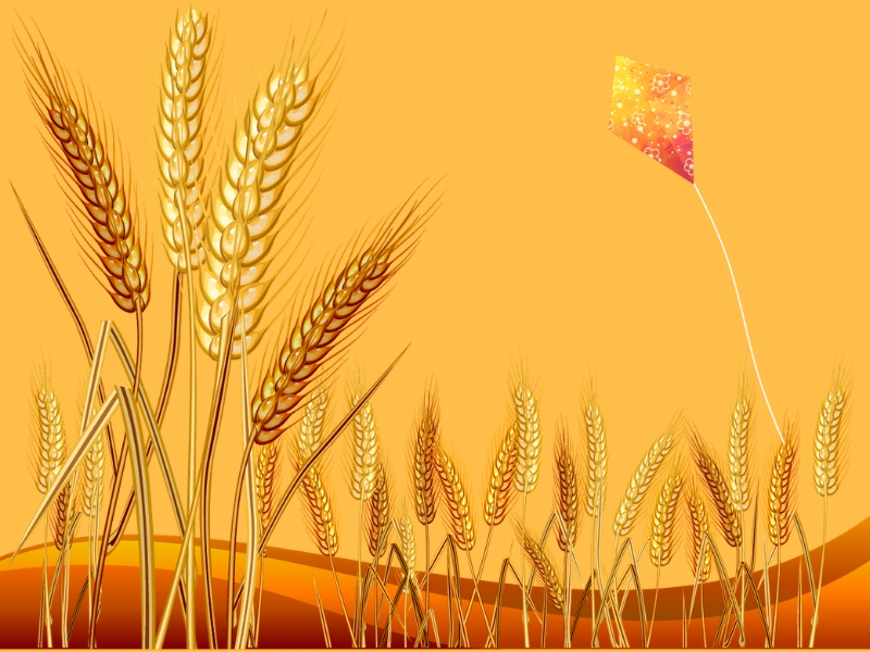 Makara Sankranthi - harvest festival for farmers : A medical perspective - Health Vision