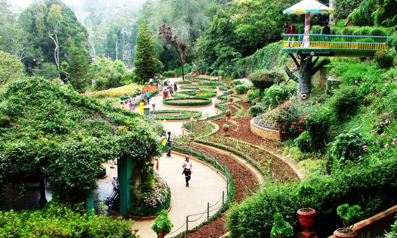 Ooty