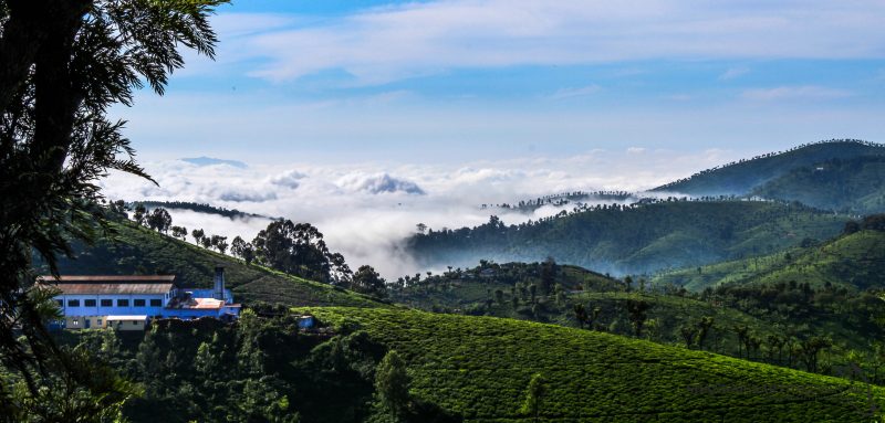 Coonoor