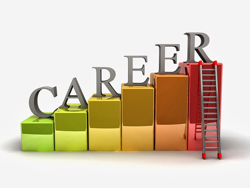 Emerging career paths