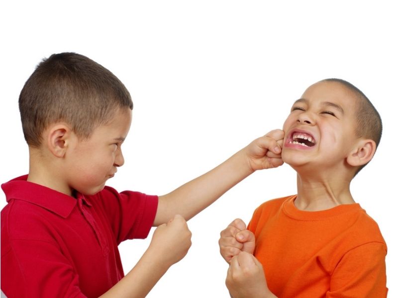 Aggression in children