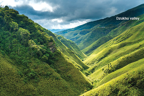 Dzukhu valley