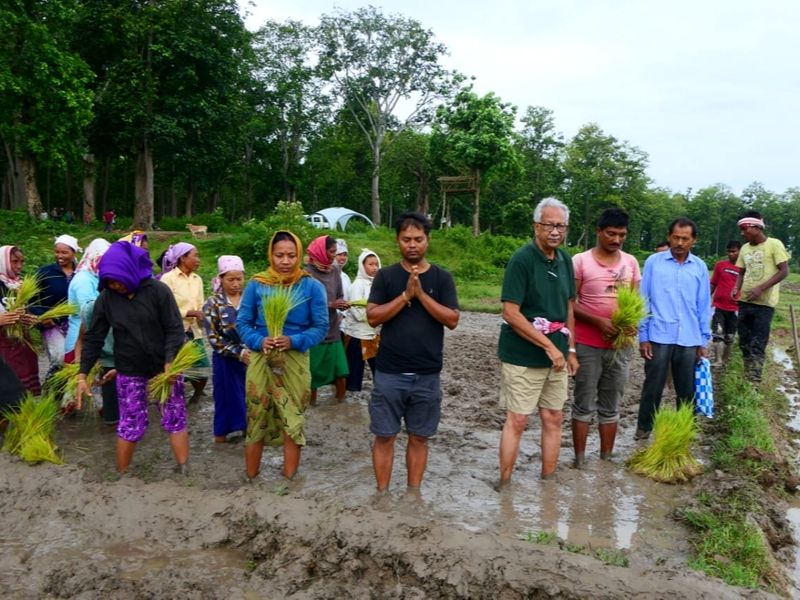Assam's 'Jumbo Khet' fends off man-wildlife conflict