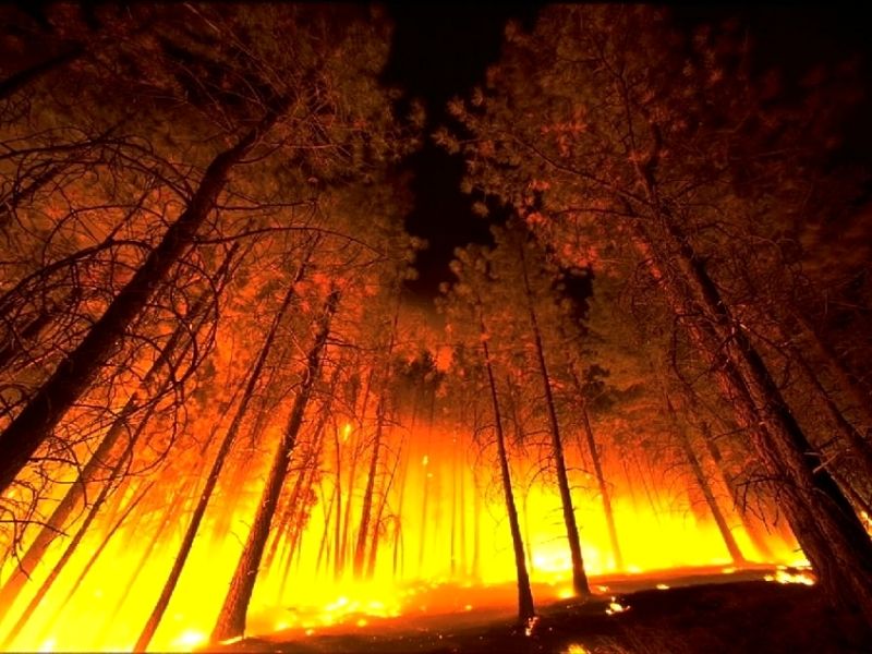 10 Worst wildfires our world has ever witnessed