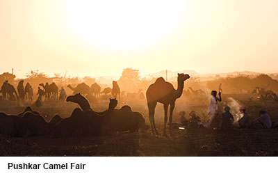 Pushkar Camel fair