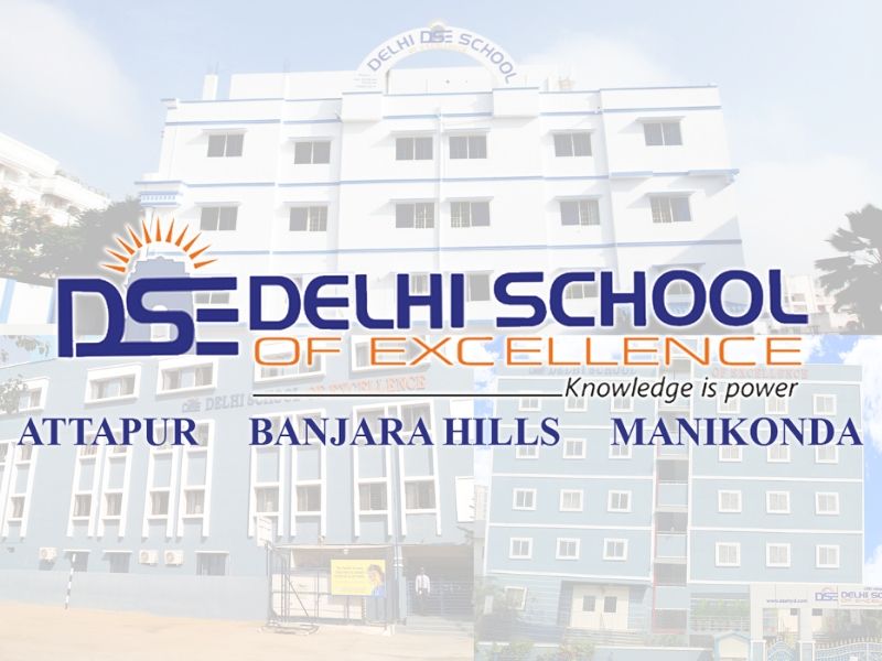 Delhi School of Excellence