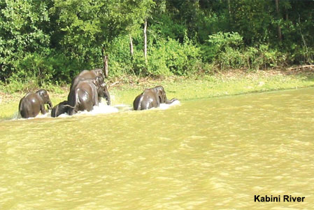 Karnataka tourism destination