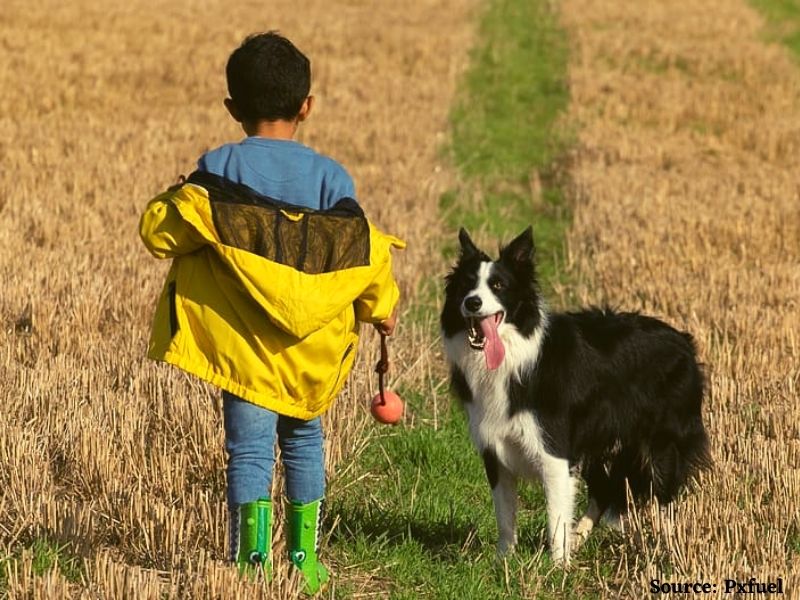 Death of a pet profoundly impacts children