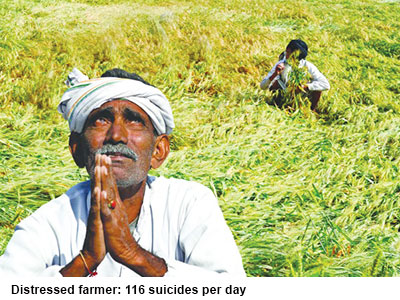 India’s ivory tower agriculture universities