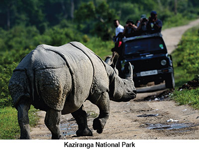 Kaziranga National Park