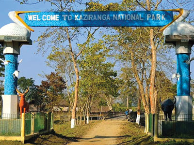 Kaziranga National Park