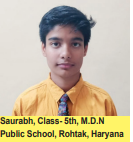 Saurabh, MDN Public School