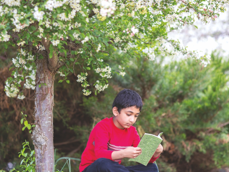 Encourage reading habit among children