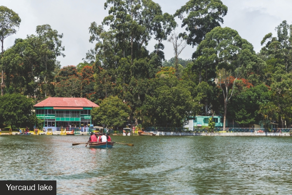 Yercaud Lake