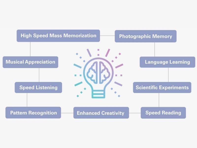 Importance Of Right Brain Education