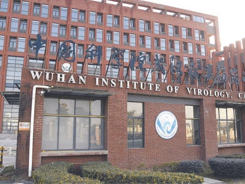 wuhan institute of virulogy