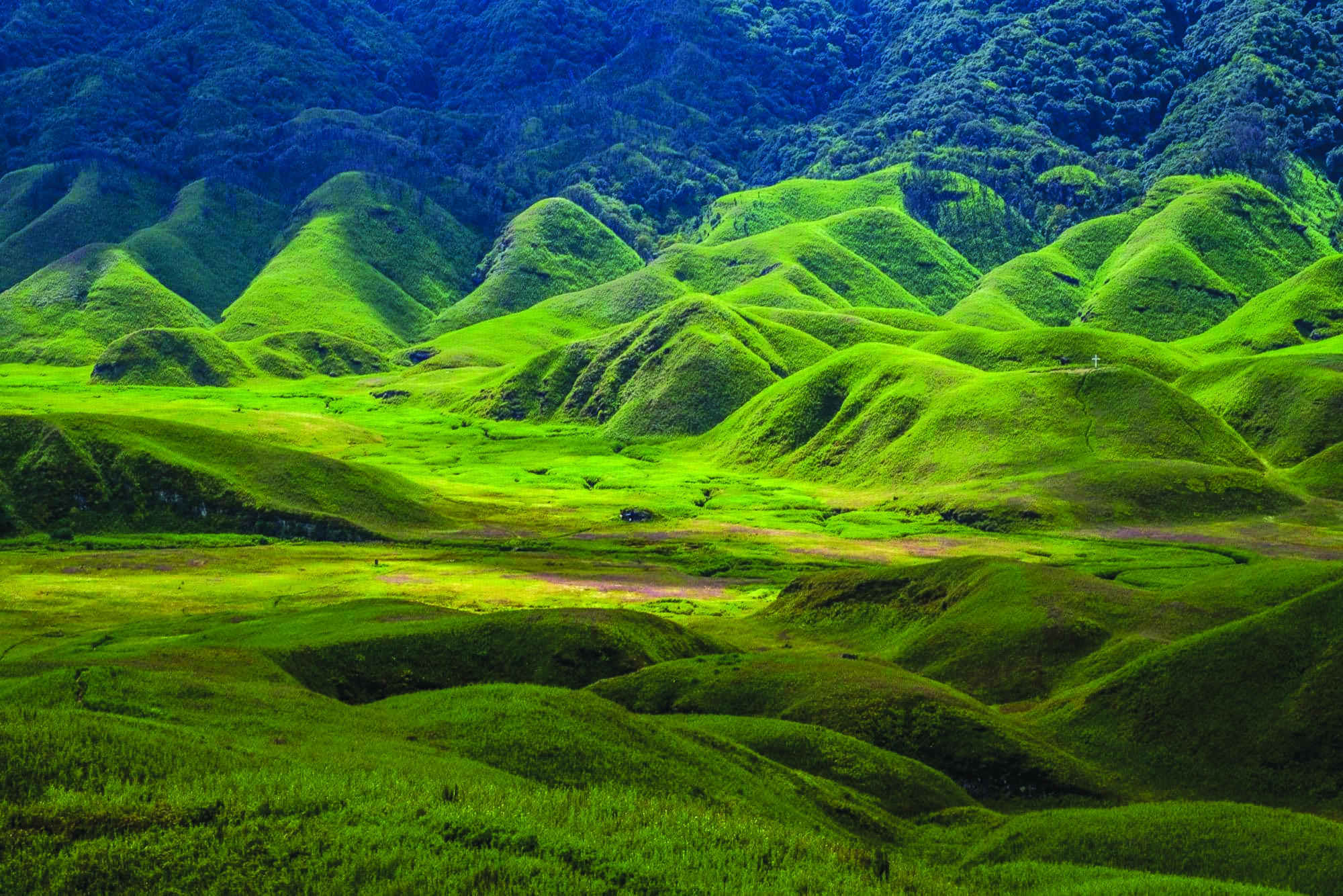 dzukou valley