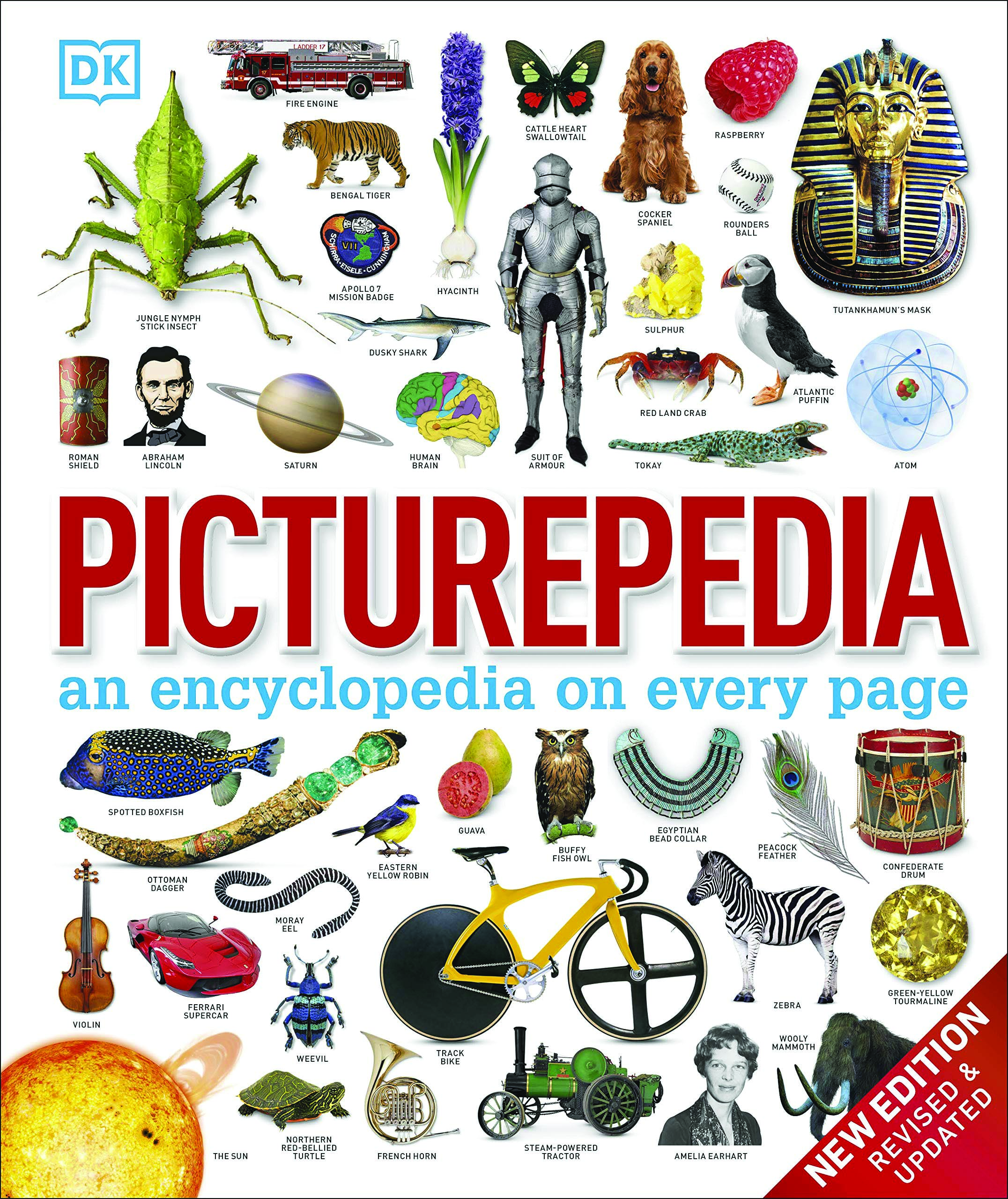 Picturepedia —an encyclopedia on every page