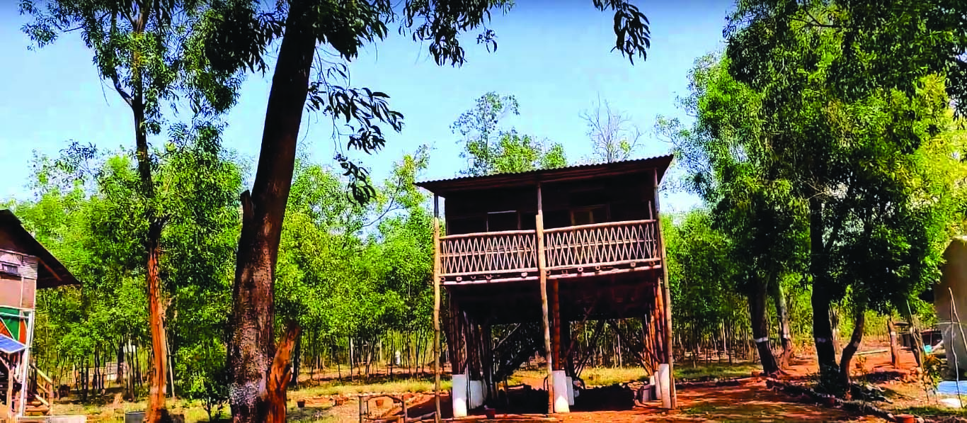 Chahala Forest Resort