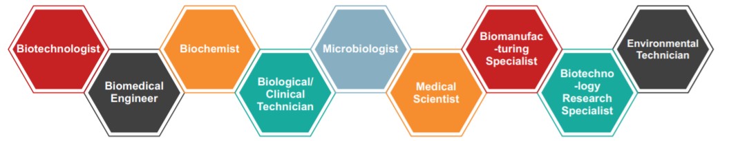 Career Profiles Biotechnology
