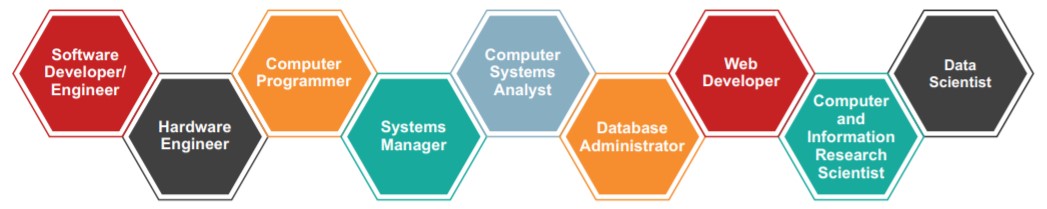 Career Profiles Computer Science