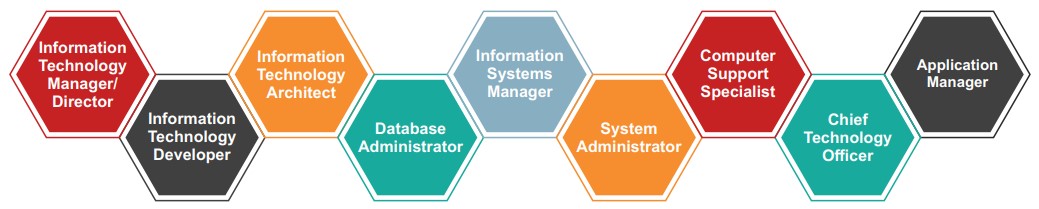 Career Profiles Information Technology