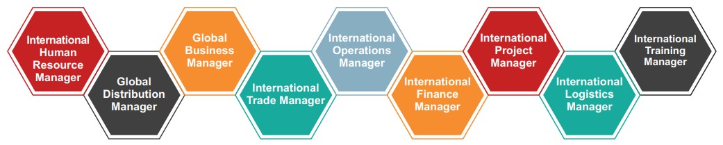 Career Profiles International Business Management