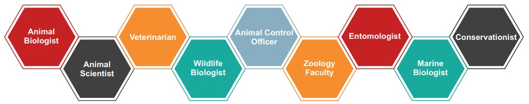 Career Profiles Zoology