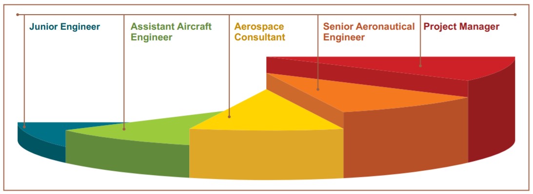 Career Progression Aeronautical
