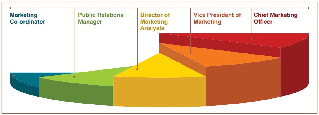 Career Progression Marketing Management