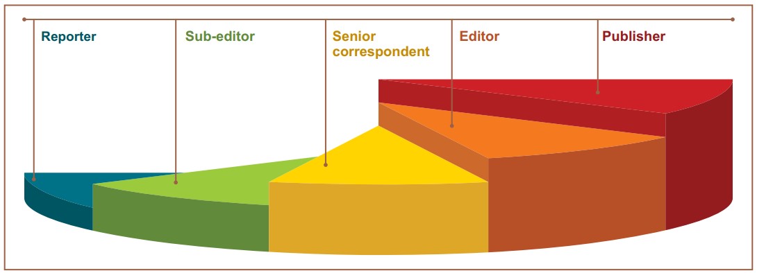 Career Progression Journalism