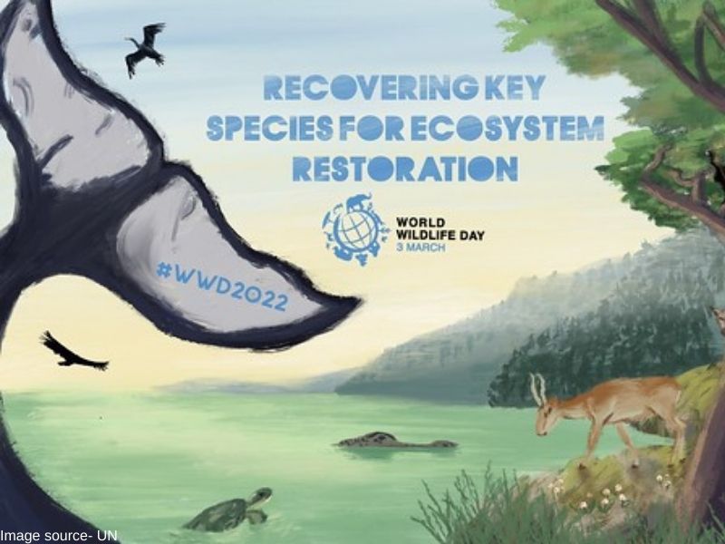 World Wildlife Day 2022 Recovering key species for ecosystem restoration