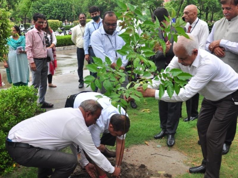 Amity University organises Van Mahotsav