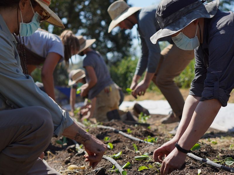 Climate school Terra.do's courses to benefit climate change enthusiasts