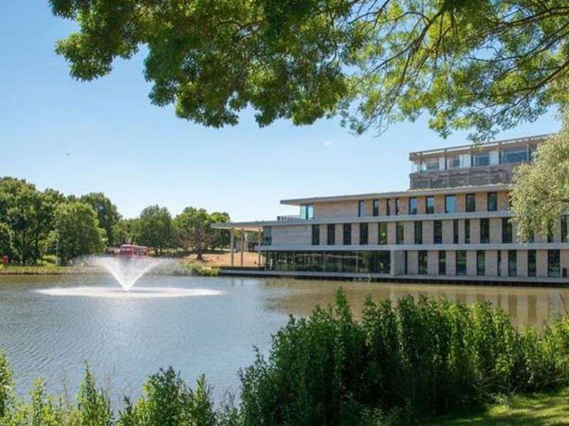 University of Essex online opens application for Postgraduate Certificate in Psychology