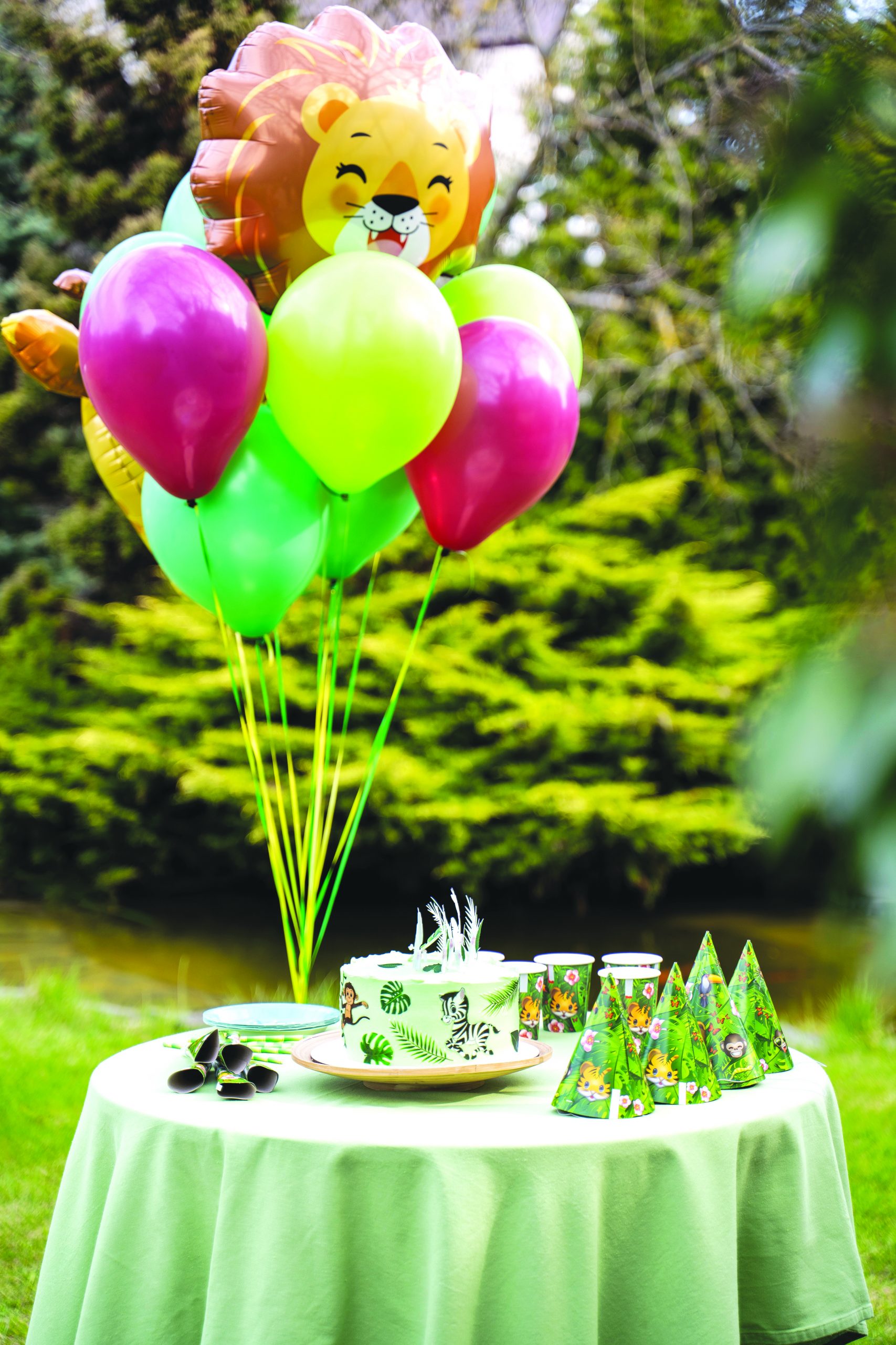 birthday theme party
