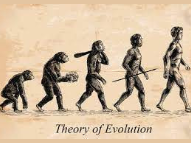 Theory of evolution