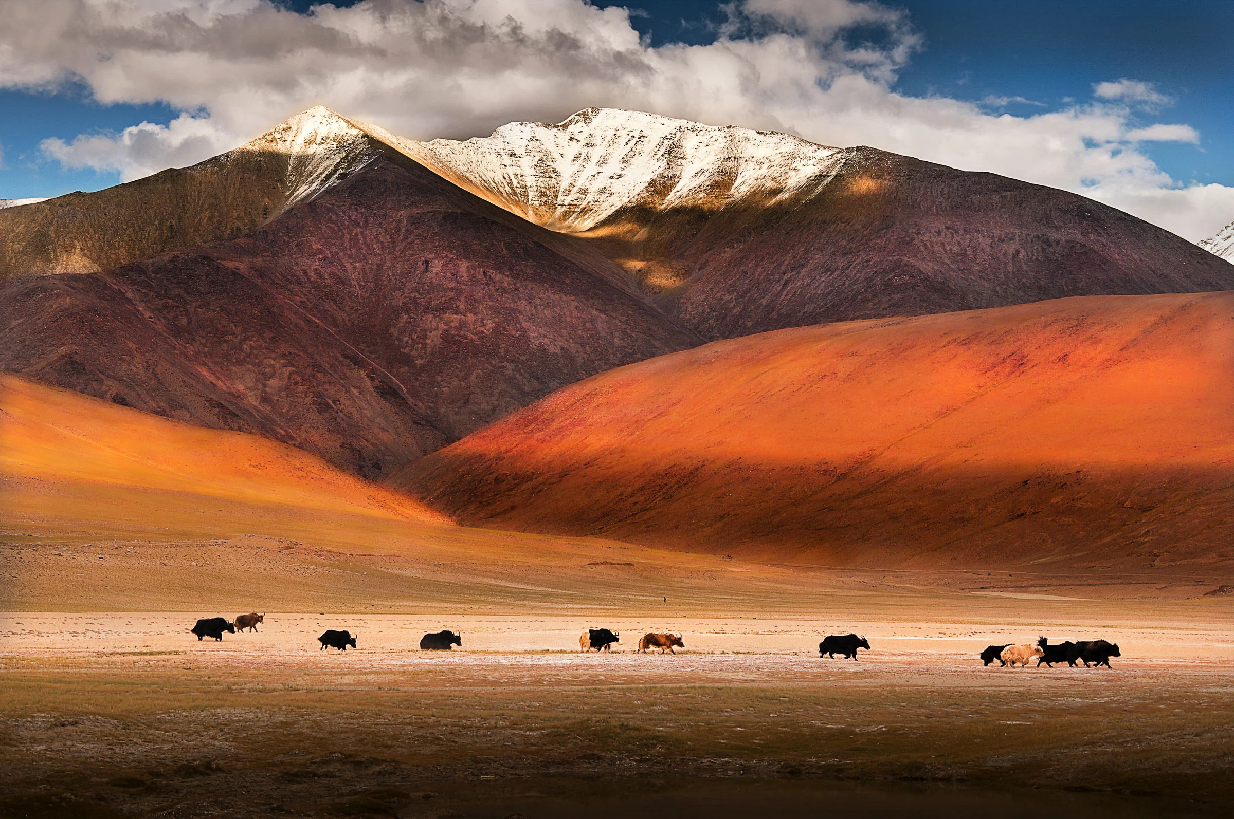 Worlds-Greatest-Places-Ladakh-India-02