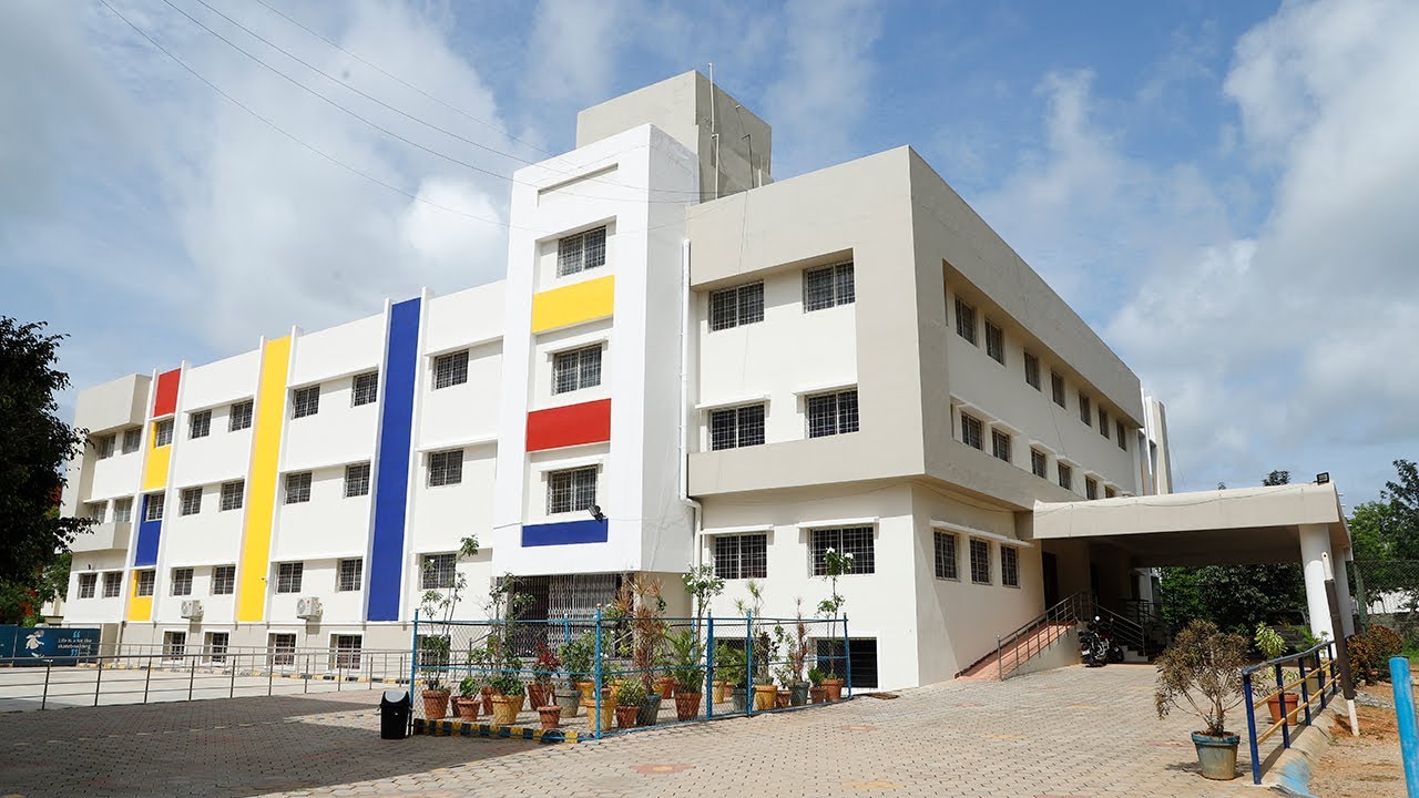 Vista International School