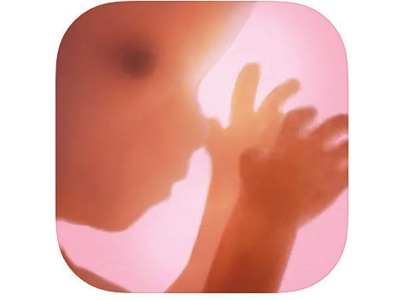 RESPregnancyplus