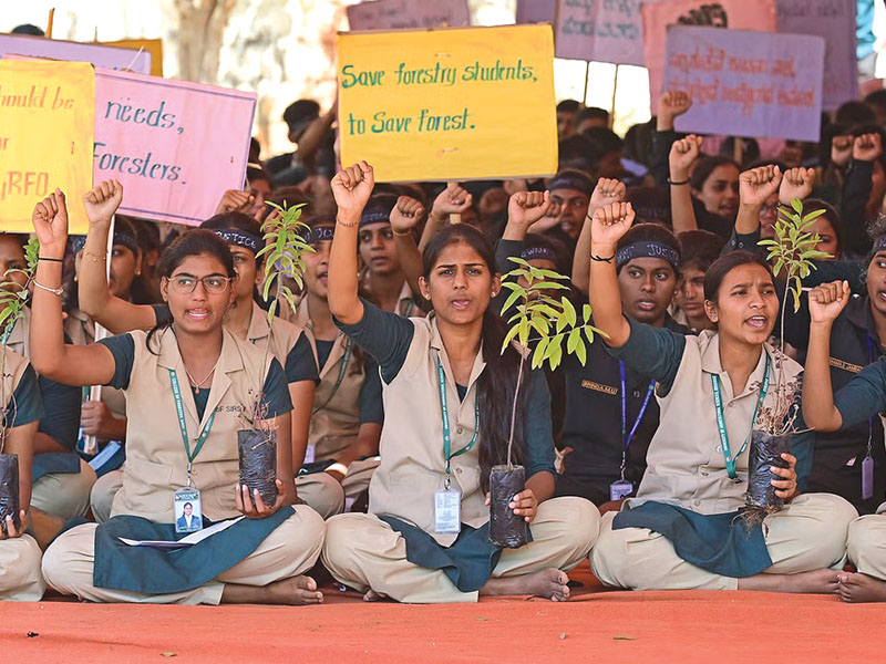 Forestry protest-1