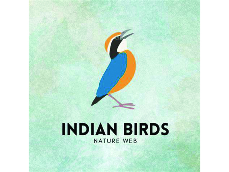 IndianBirds copy